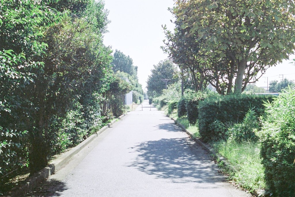 なんでもない道も