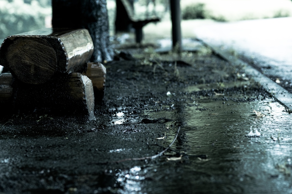 雨音に耳を傾け