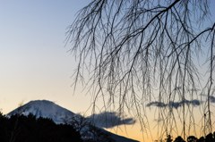 花落ちど 春のあの日が 咲く心