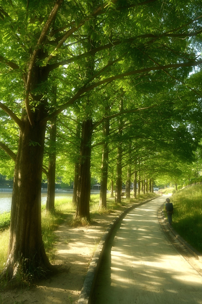 僕の帰り道