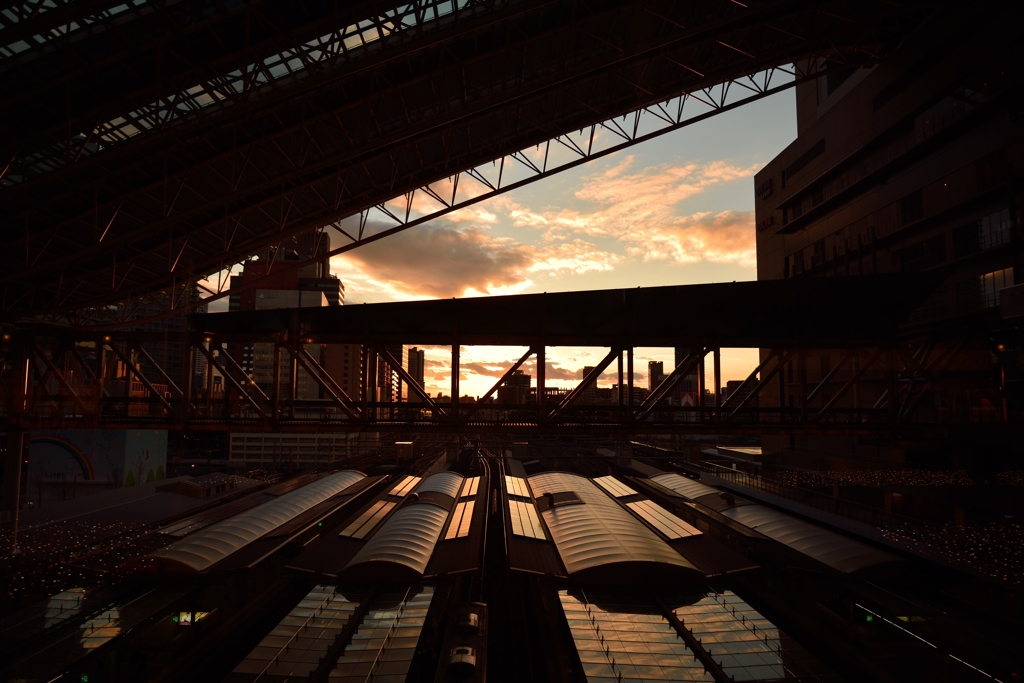 大阪駅夕景