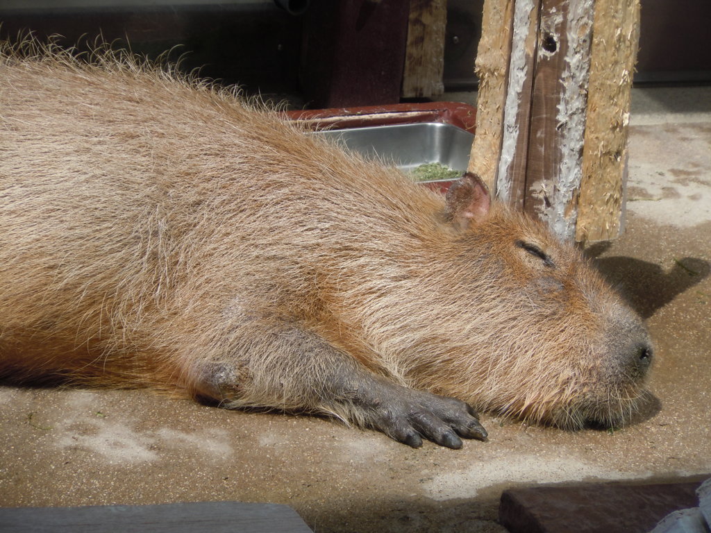 20140412 平和だねぇ