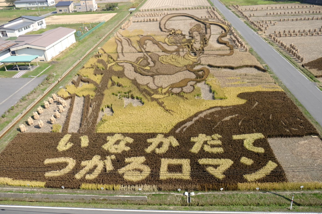 青森県田舎館村の田んぼアート