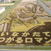 青森県田舎館村の田んぼアート