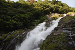滝