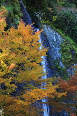 布滝