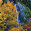 布滝