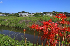 長閑