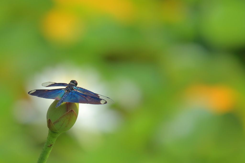 ちょっと一休み