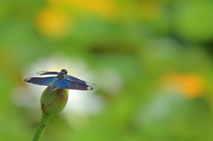 ちょっと一休み