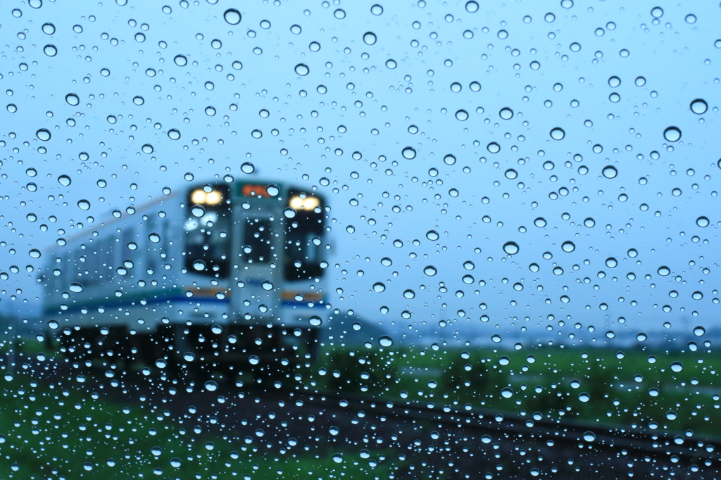 今日も雨