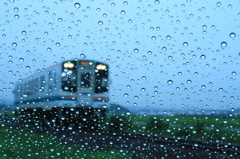 今日も雨