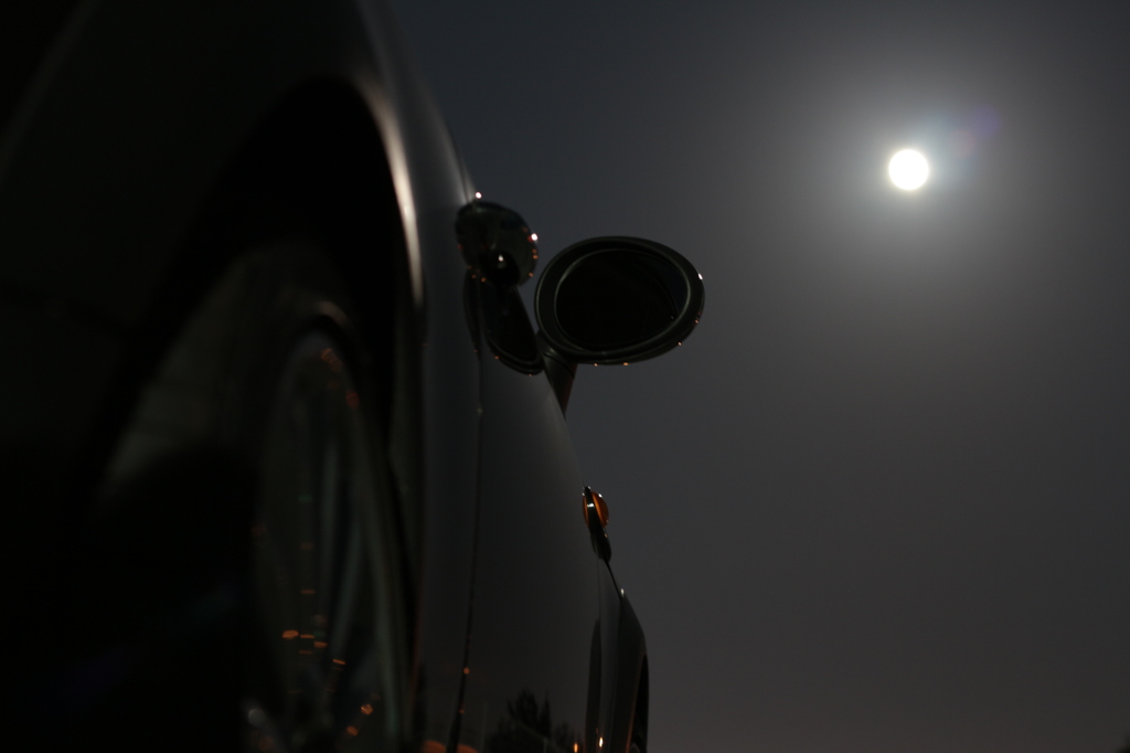 月夜に誘われて
