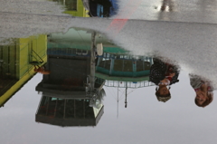 水たまりの笑顔