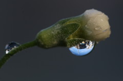 雨上がり