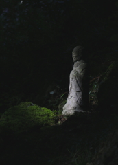 導きの光
