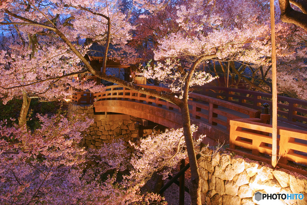 PH-0146_桜橋