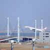 PH-0085_フライト②