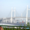 PH-0205_横浜にKISS
