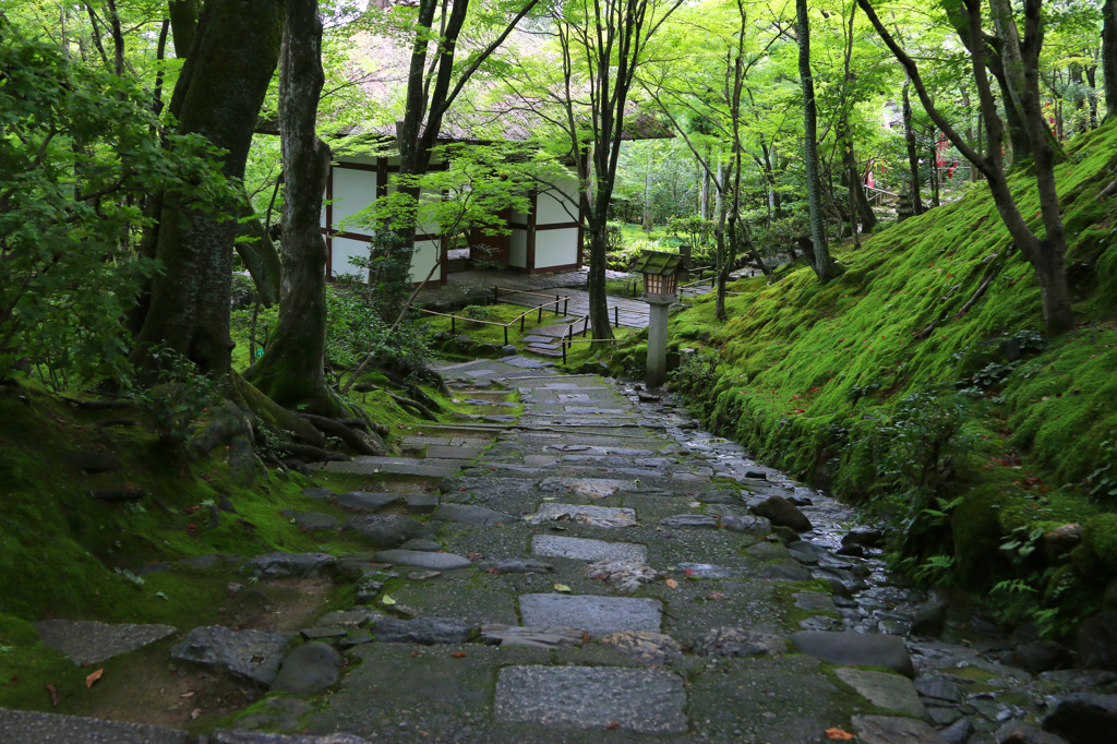 PH-0006_夏の常寂光寺