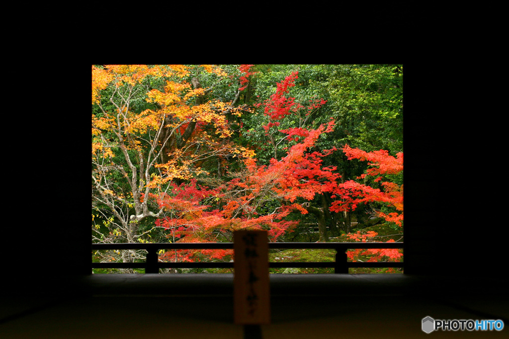 PH-0260_窓景の秋