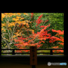 PH-0260_窓景の秋