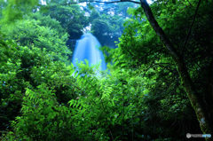 PH-0030_森の中の乙女滝