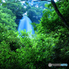 PH-0030_森の中の乙女滝