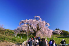 PH-0218_滝桜