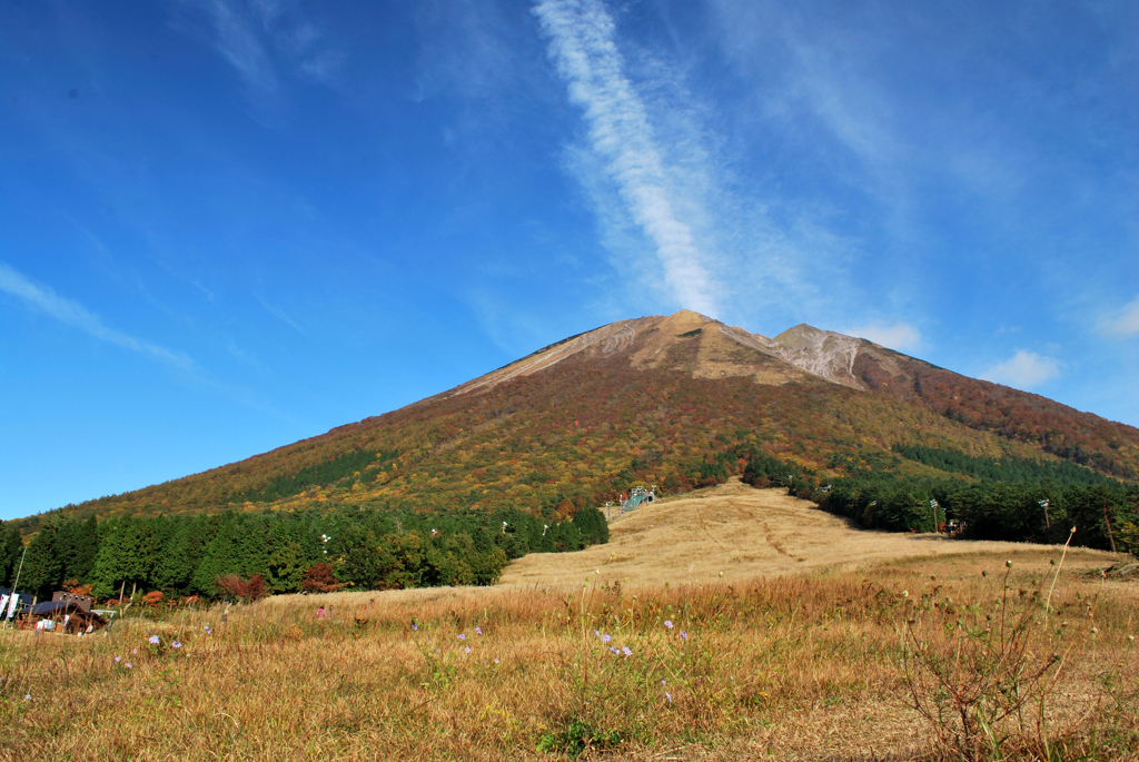 大山　桝水高原