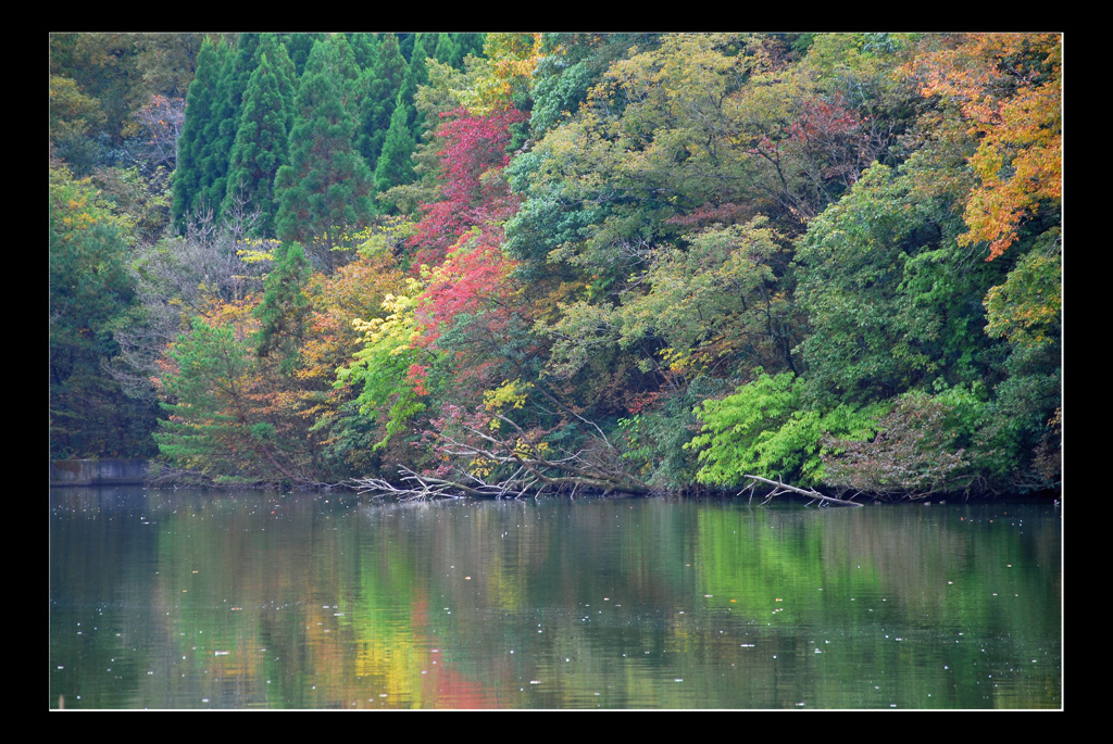 2015　紅葉