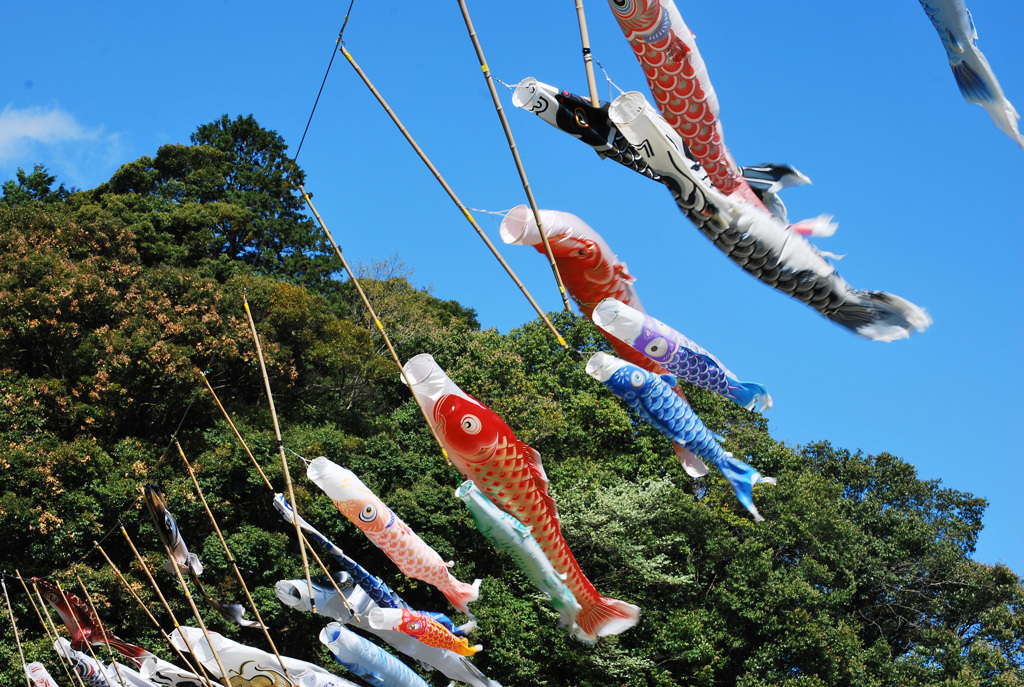 空へ向かって
