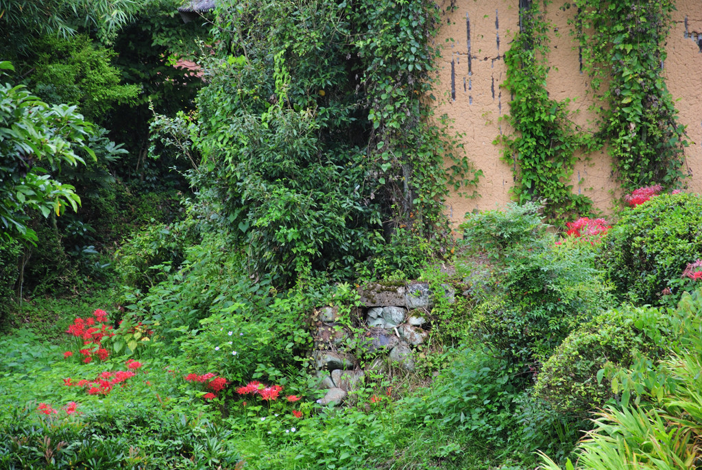 彼岸花の咲く風景