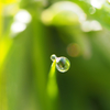 waterdrop