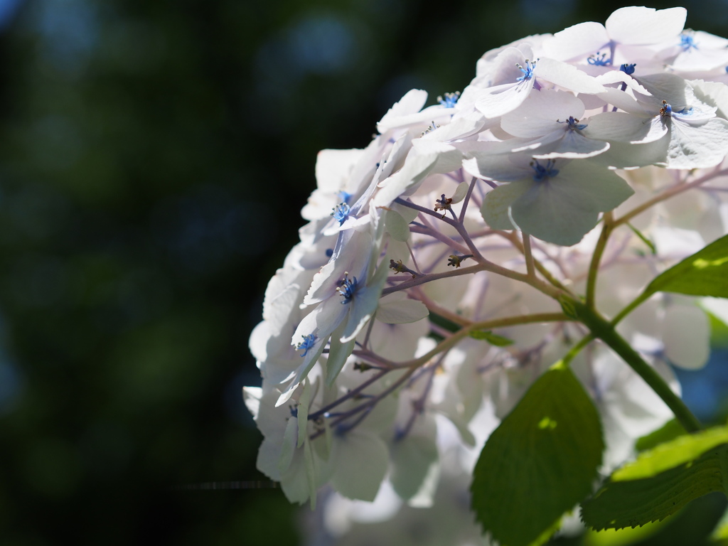 20140615