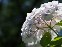 20140615