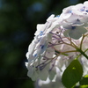 20140615