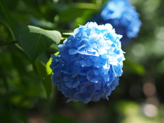 20140615