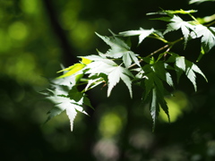 20140615