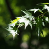 20140615