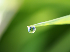 waterdrop