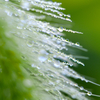 waterdrop2014