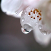 20160403
