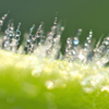 waterdrop2014