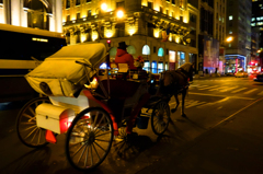 夜の５番街を馬車がゆく