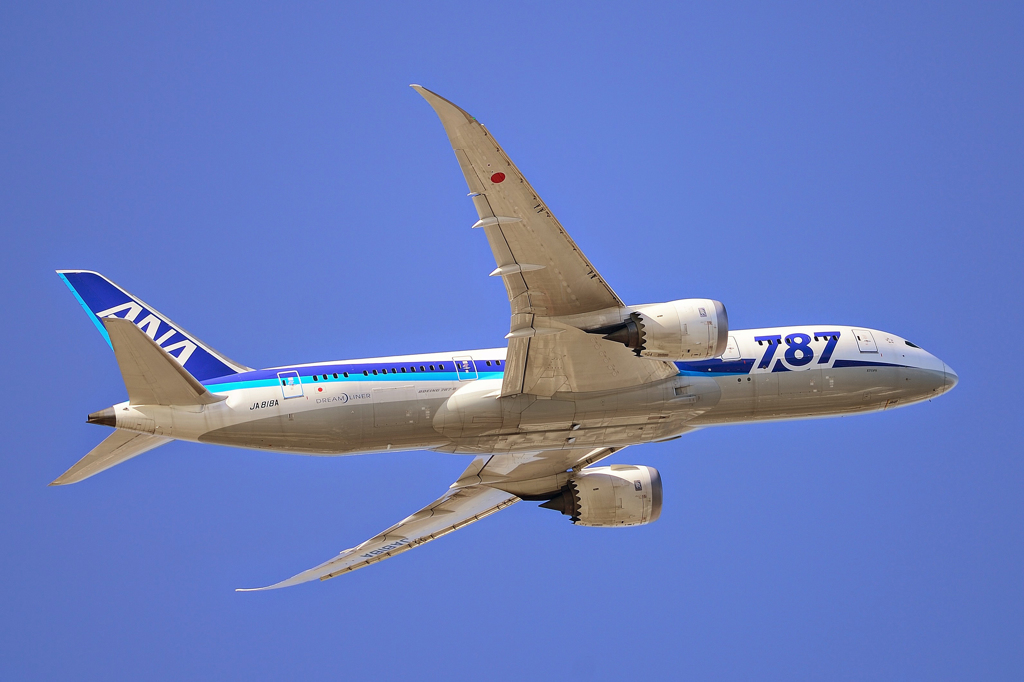 寸詰まり体型の787-8が好き