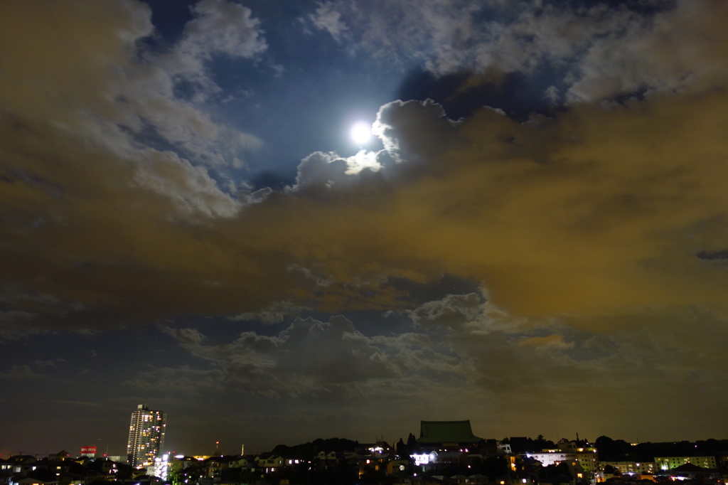 満月が照らす夜