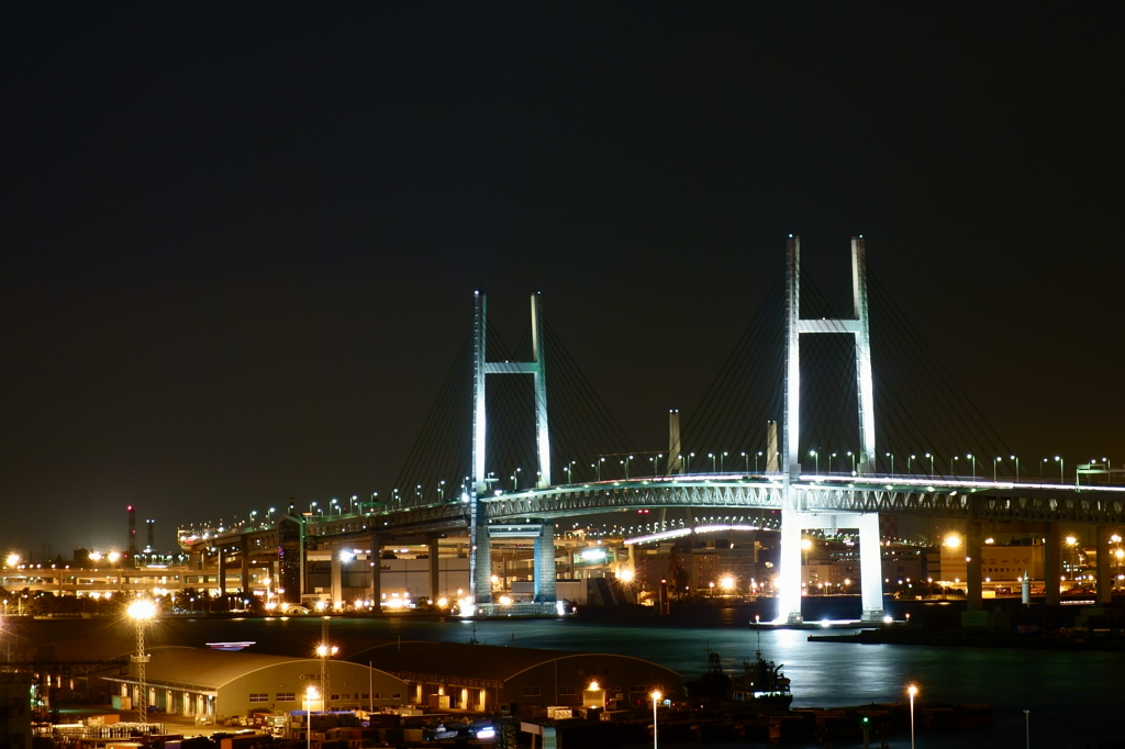定番的横浜夜景その２