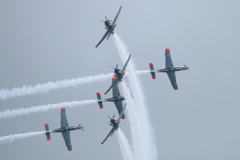 オルリク ポーランド空軍 交差