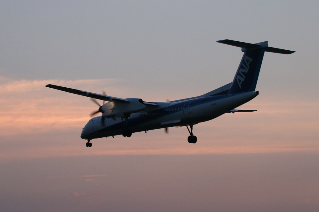 夕暮れ空と飛行機